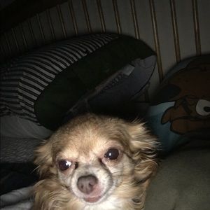 Meet your Posher, Tammy